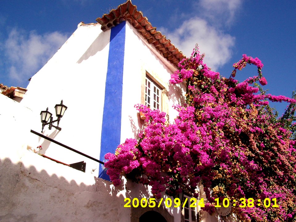 Wondering Óbidos (119973253)
