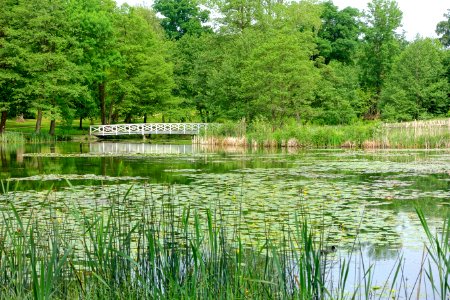 Wooden Bridge, Stowe - Buckinghamshire, England - DSC06801