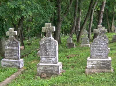 Wooded Section, St. Adalbert Cemetery, Pittsburgh, 2015-06-17, 01