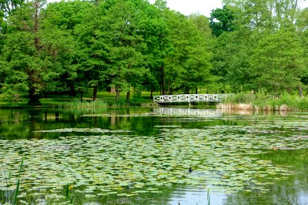 Wooden Bridge, Stowe - Buckinghamshire, England - DSC06803