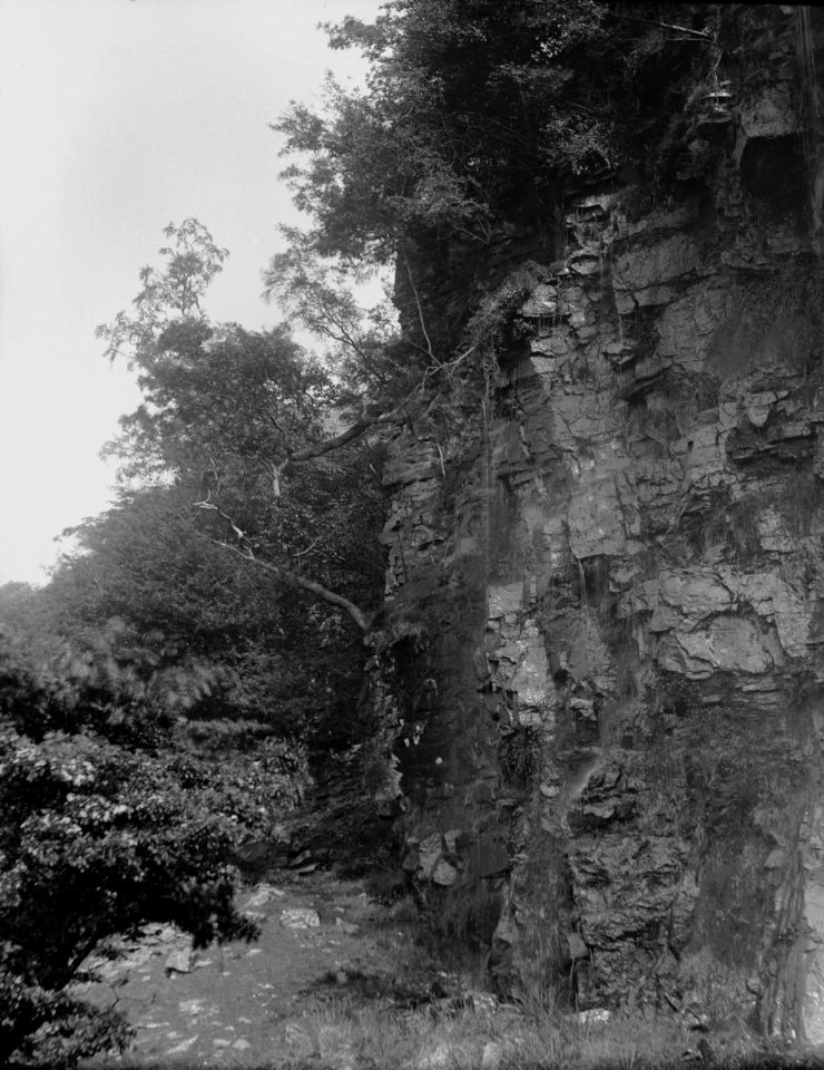 Wooded rocks (1293691)