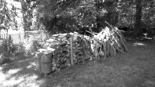 Wood pile photo