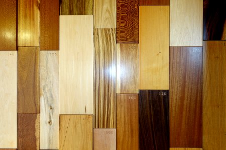 Wood samples - Lyman Plant House, Smith College - DSC02087