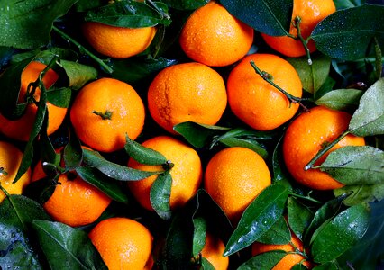 Vitamins juicy food