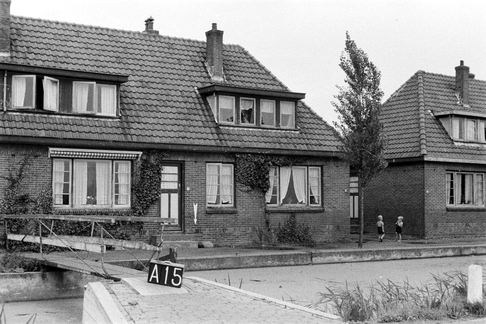 Woonhuizen aan een vaart in Alkemade (ruilverkaveling Roelofarendsveen), Bestanddeelnr 170-2485