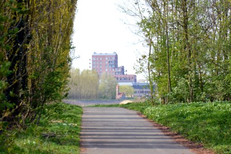 Woontoren Rode Heuvel vanaf het jaagpad achter ASZ Wetteren
