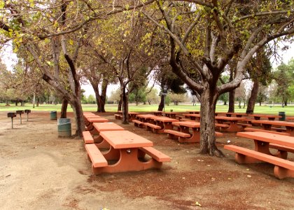 Woodley park picnic area