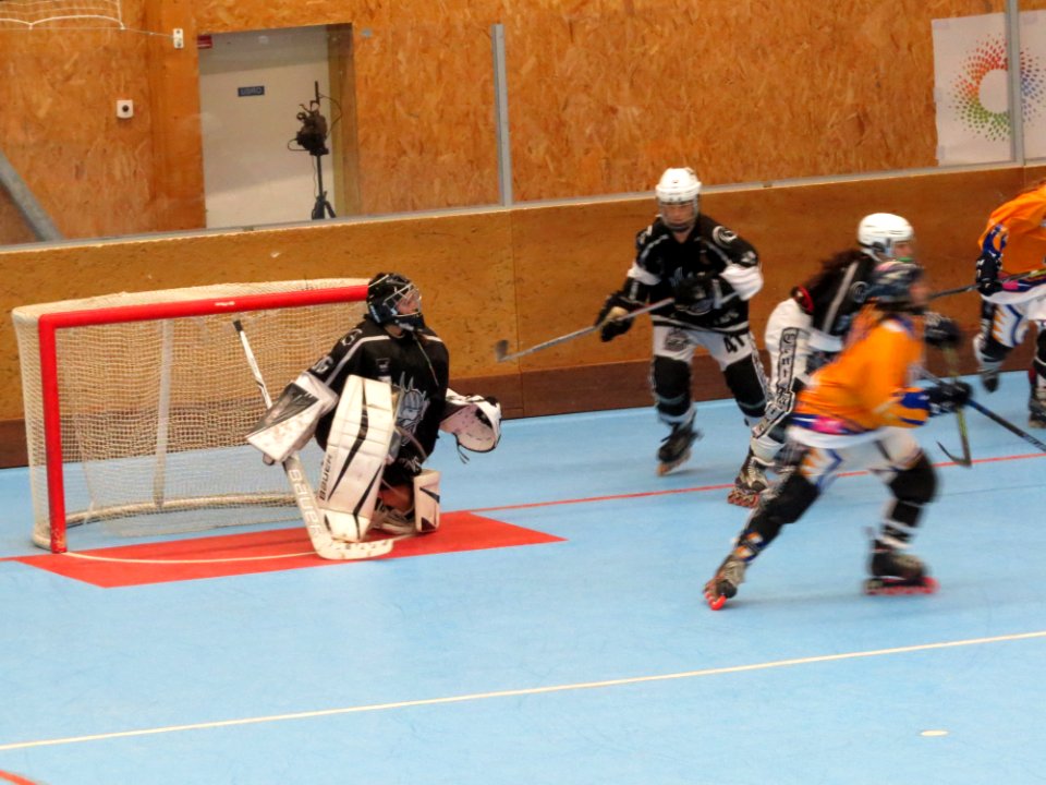 Women European League Roller Hockey 2017 - Ris Orangis vs Rubi - 06
