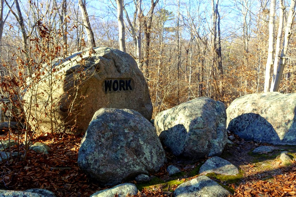 Work - Babson's Boulders - Dogtown, MA - DSC01547