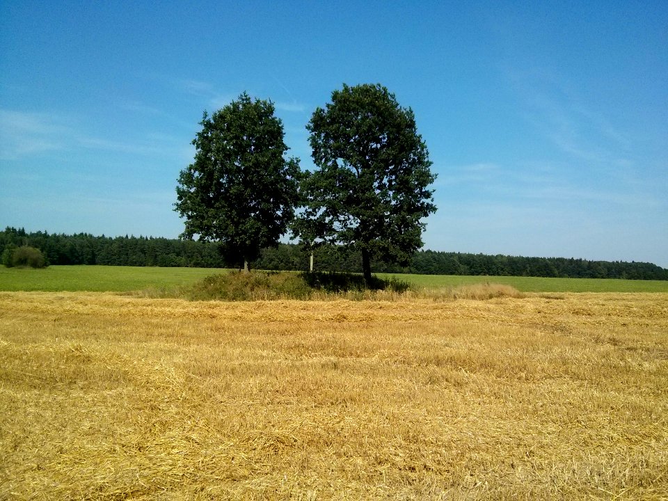 Woynillowicz family hill in Sawiczy - 05