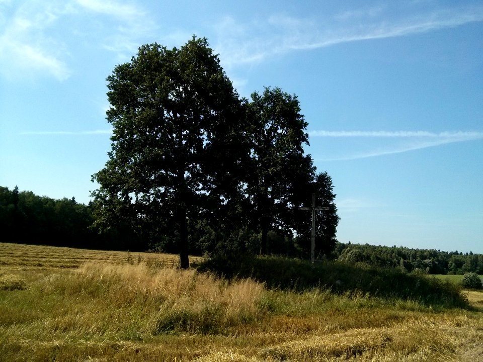 Woynillowicz family hill in Sawiczy - 13