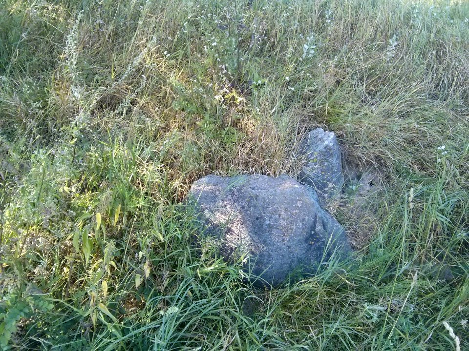 Woynillowicz family hill in Sawiczy - gravestone 4
