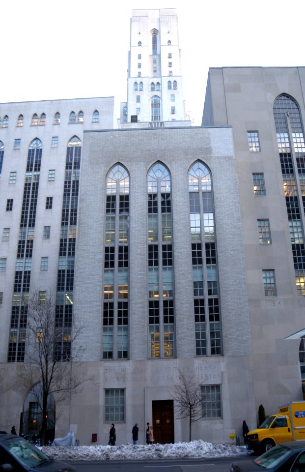 WR Hearst Microbiology NYPH jeh