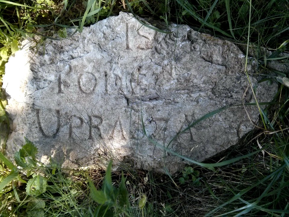Woynillowicz family hill in Sawiczy - gravestone - Uprasza