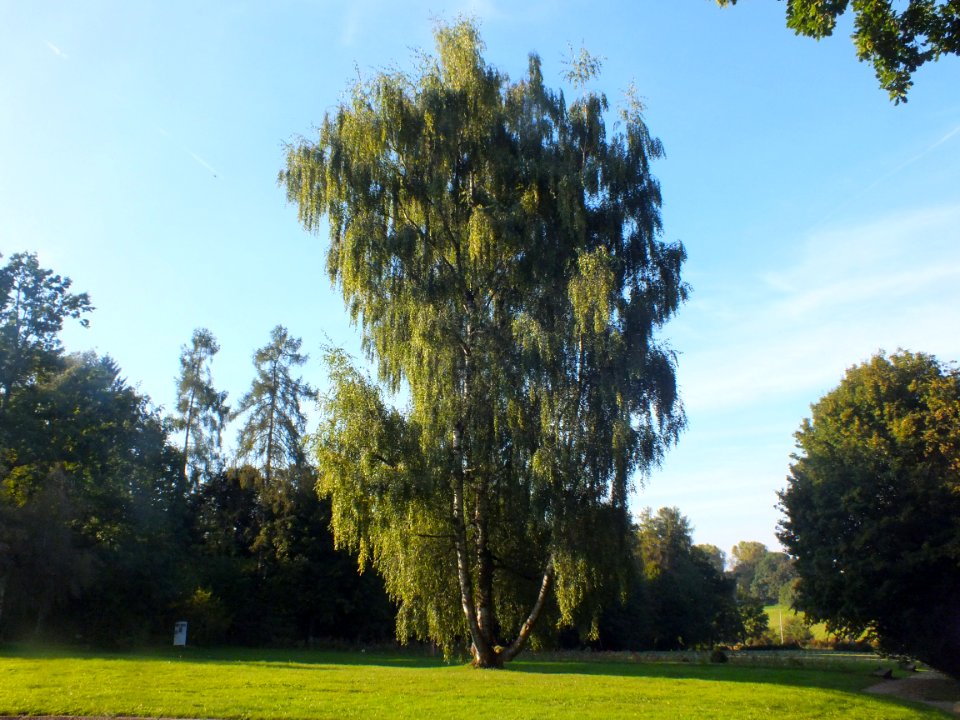 Wzwz dah waldfriedhof 07