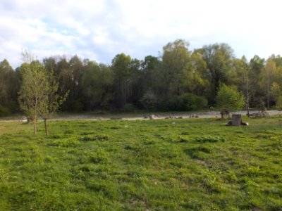 Wzwz feldmoching 02a
