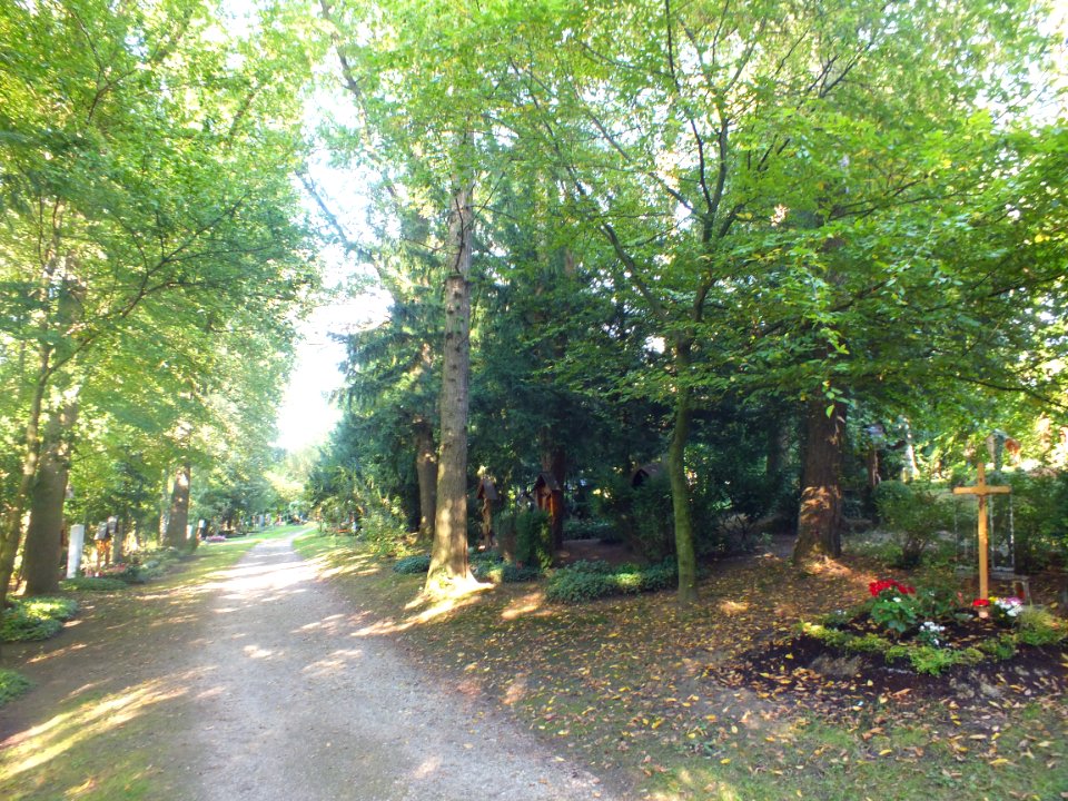 Wzwz dah waldfriedhof 09