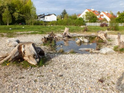 Wzwz feldmoching 02b
