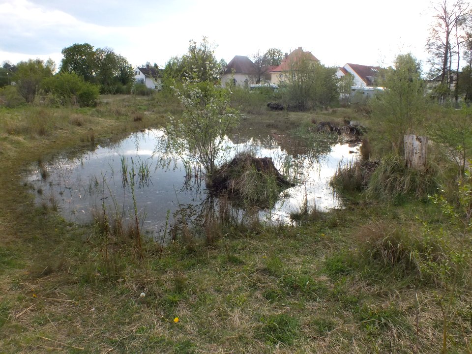 Wzwz feldmoching 01g
