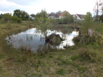 Wzwz feldmoching 01g