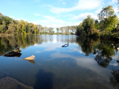 Wzwz LaWoK Eichinger Weiher 1