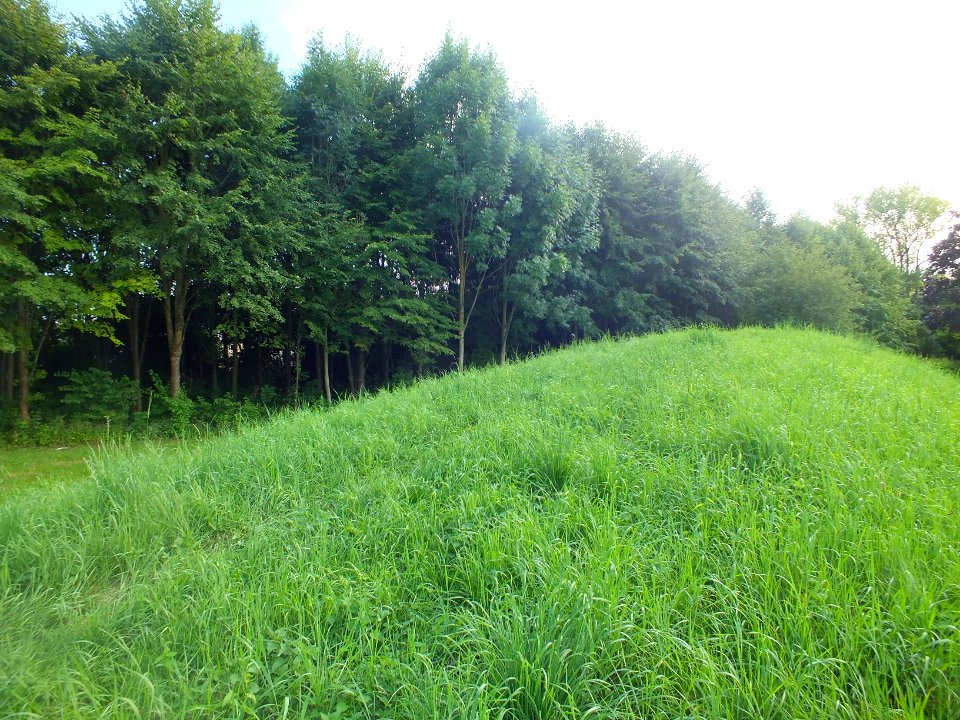 Wzwz karlsfeld Schulwald c