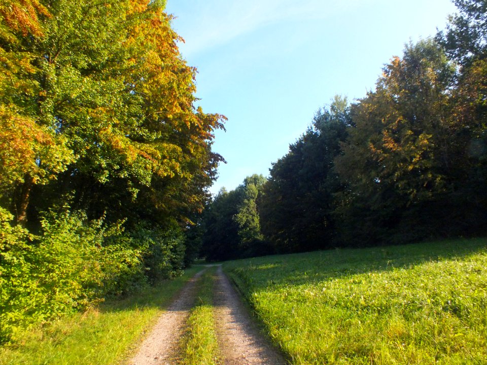 Wzwz dah waldfriedhof 10