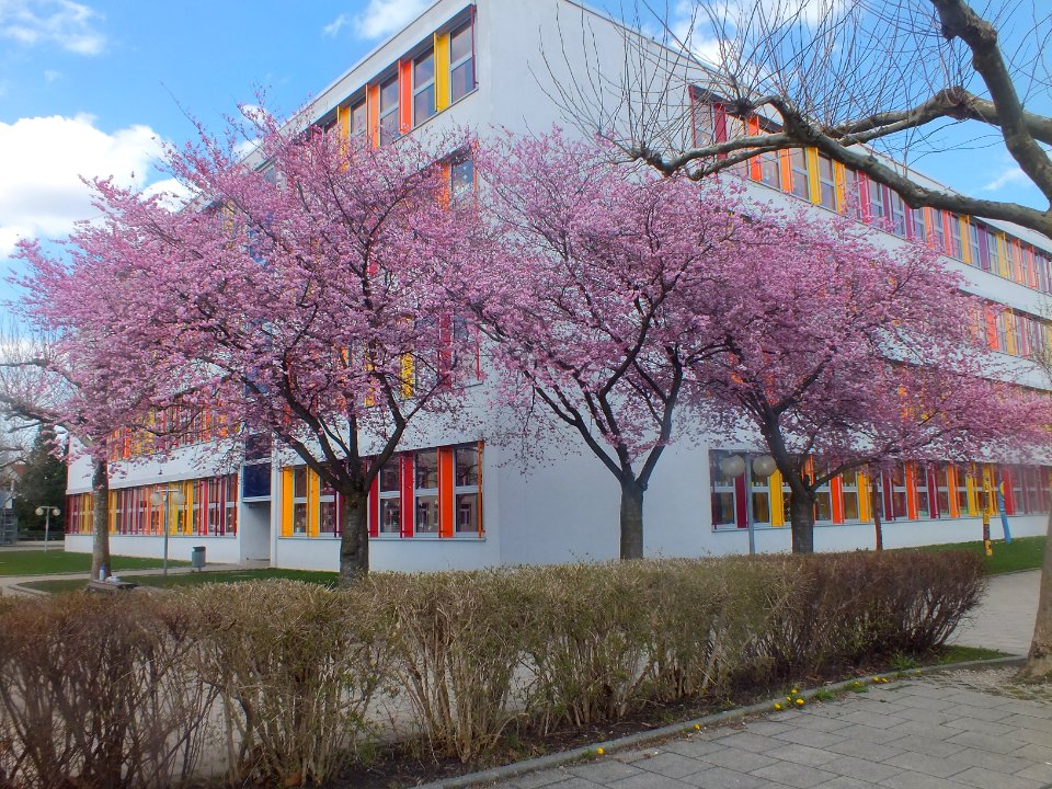 Wzwz karlsfeld school 01b