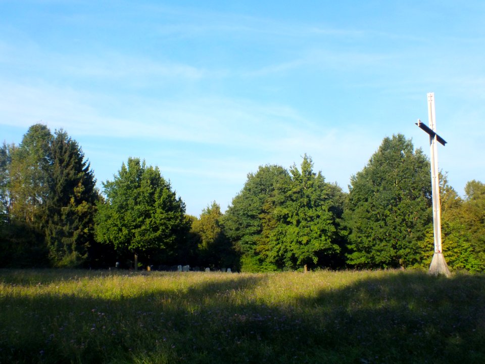 Wzwz dah waldfriedhof 08