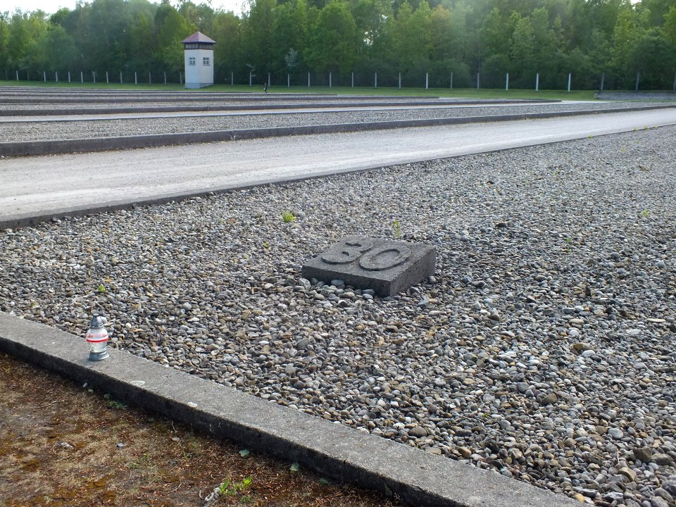 Wzwz dah memorial 19 f