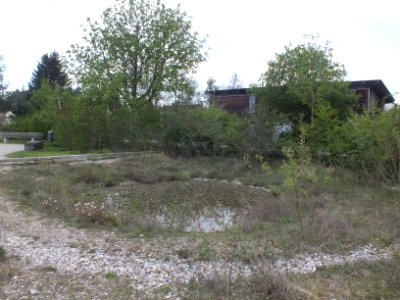 Wzwz feldmoching 01f