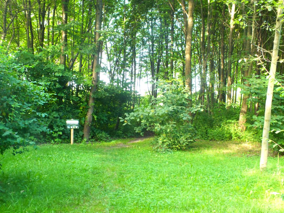 Wzwz karlsfeld Schulwald a