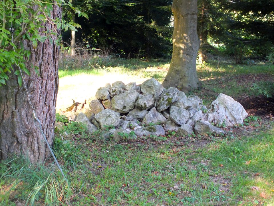 Wzwz dah waldfriedhof 23