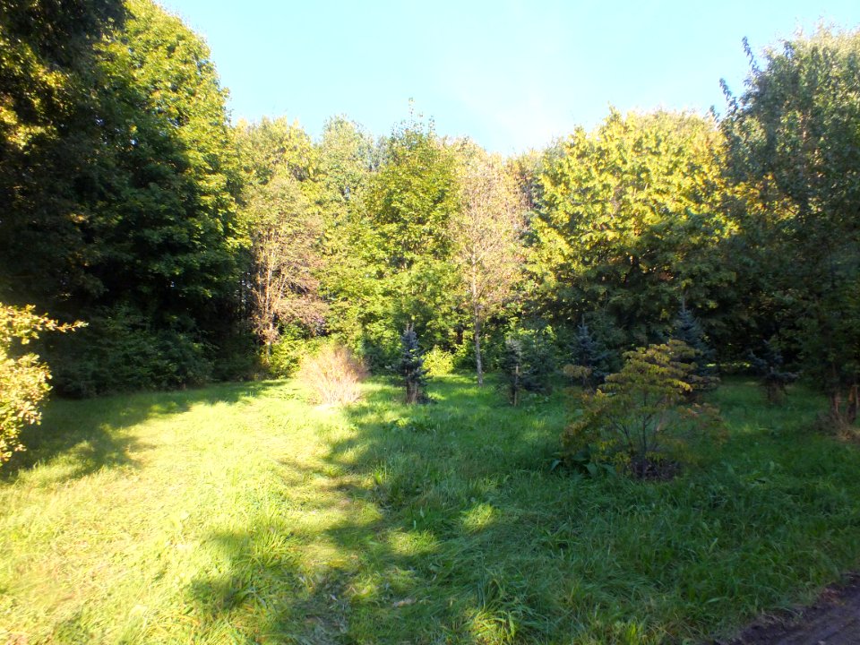 Wzwz dah waldfriedhof 12