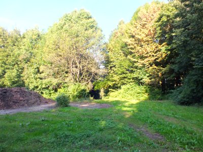 Wzwz dah waldfriedhof 11