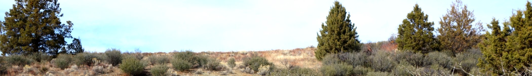 WV banner Yreka view