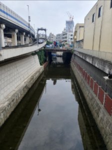 Works on Shibuya River photo