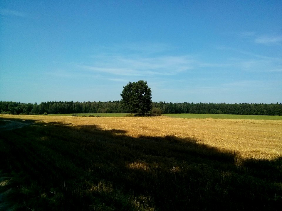 Woynillowicz family hill in Sawiczy - 02