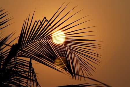 Nature light sunrise photo