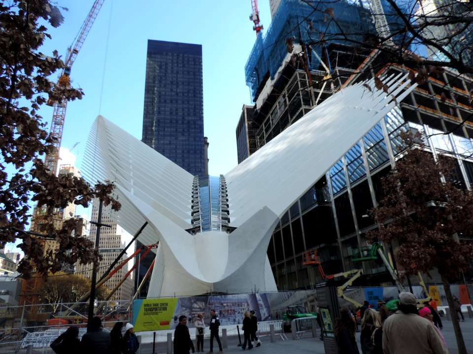 WTC hub bird 2015-11 jeh