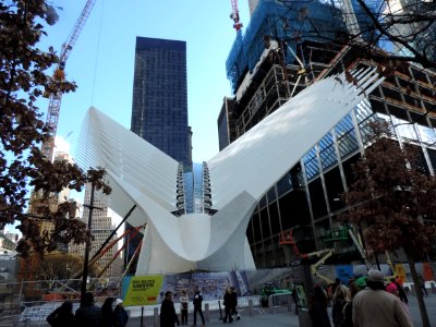 WTC hub bird 2015-11 jeh