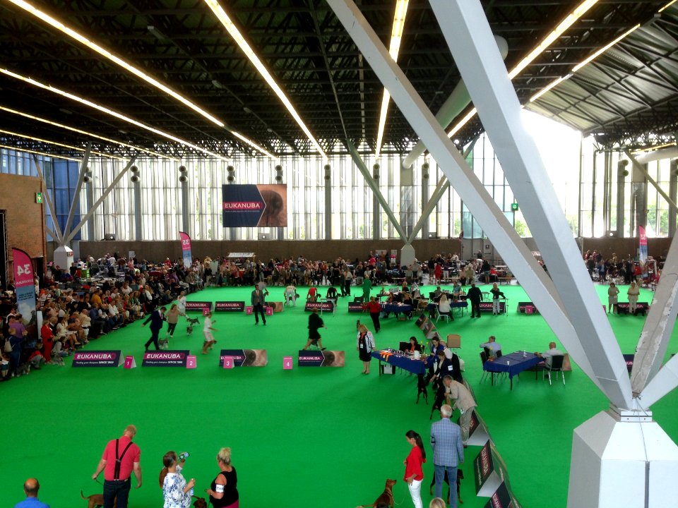 World Dog Show, Amsterdam, 2018 - 05