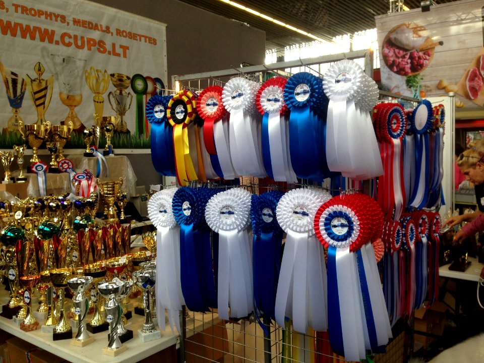 World Dog Show, Amsterdam, 2018 - 22