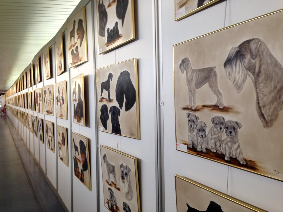 World Dog Show, Amsterdam, 2018 - 20
