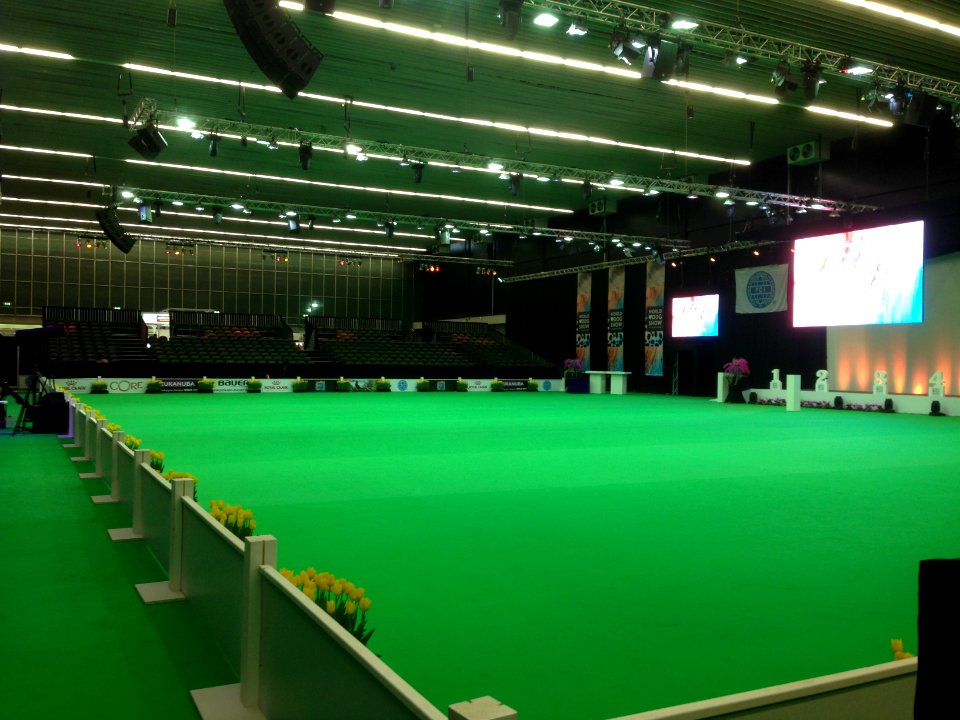 World Dog Show, Amsterdam, 2018 - 02
