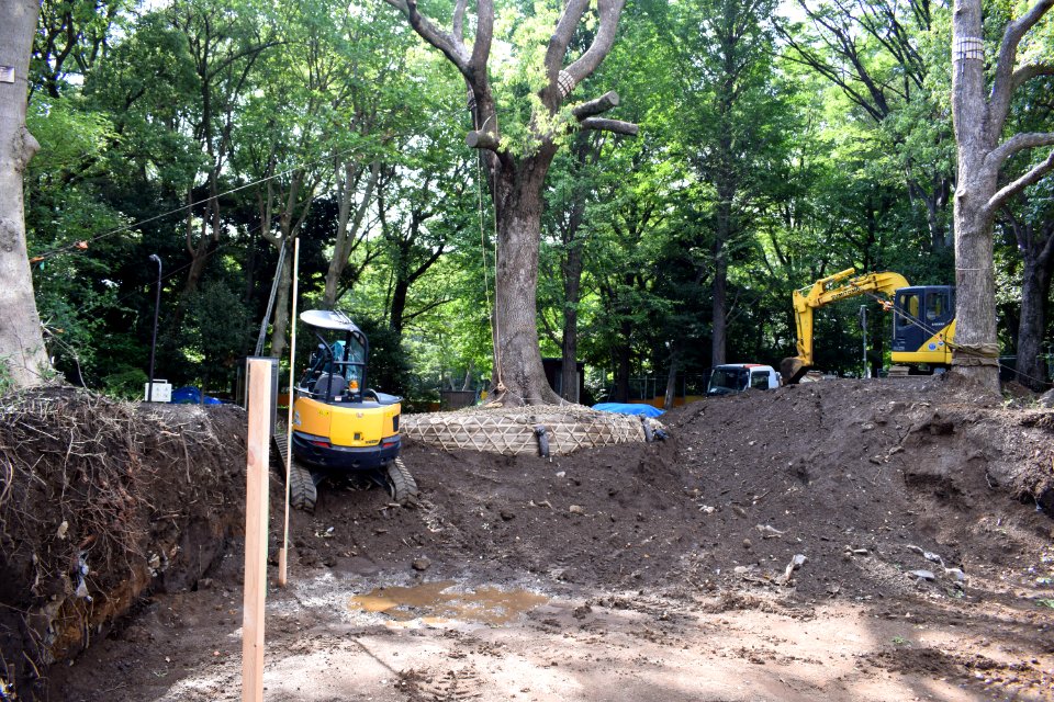 Works around a tree in 有栖川公園