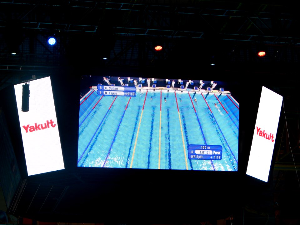 World Aquatics Championships Barcelona 2013 - Screen men's 100 m