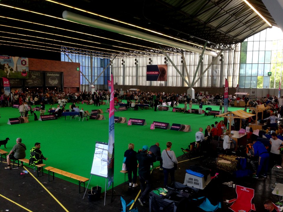 World Dog Show, Amsterdam, 2018 - 04