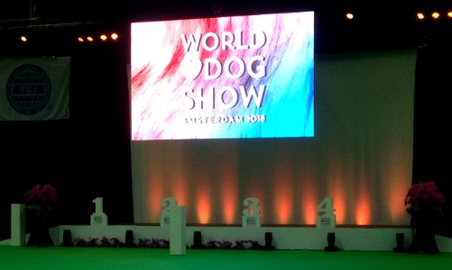 World Dog Show, Amsterdam, 2018 - 01 (cropped)
