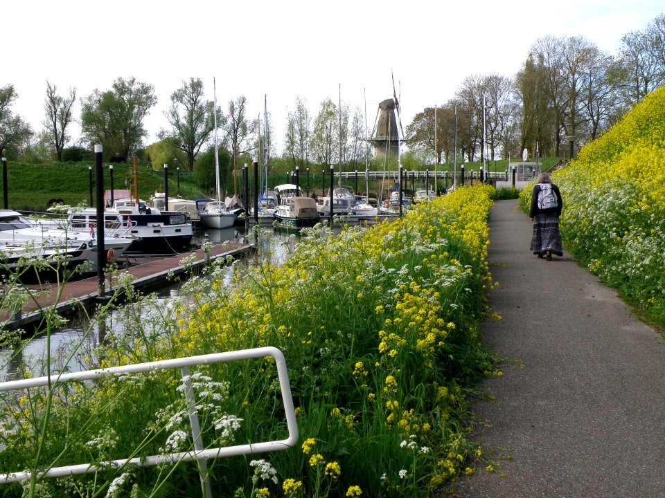Woudrichem Vestinghaven 3